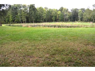 Pond in Dekalb County, Indiana - MAJOR LAND AUCTION - 516+/- ACRES OFFERED IN 18 TRACTS OR COMBINATIONS IN DEKALB COUNTY, INDIANA